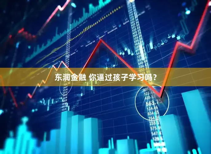 东润金融 你逼过孩子学习吗？