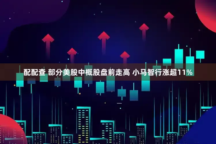 配配查 部分美股中概股盘前走高 小马智行涨超11%