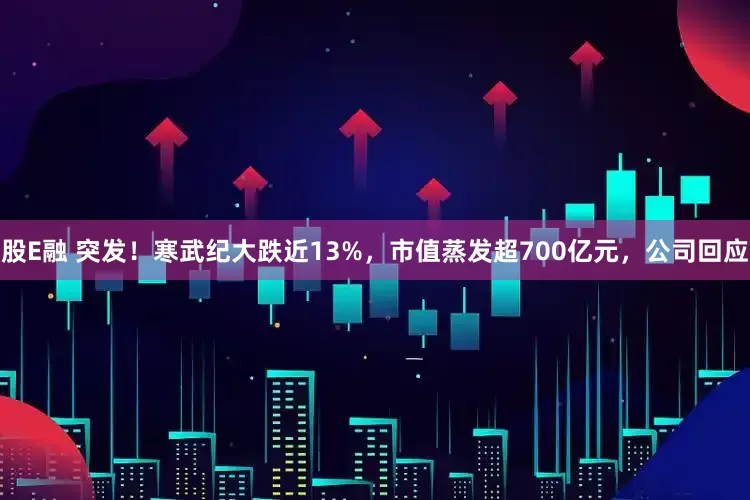股E融 突发！寒武纪大跌近13%，市值蒸发超700亿元，公司回应